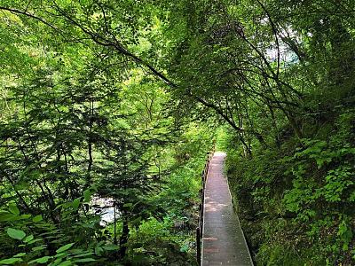 陕西黑河国家森林公园一日游行程推荐 图1